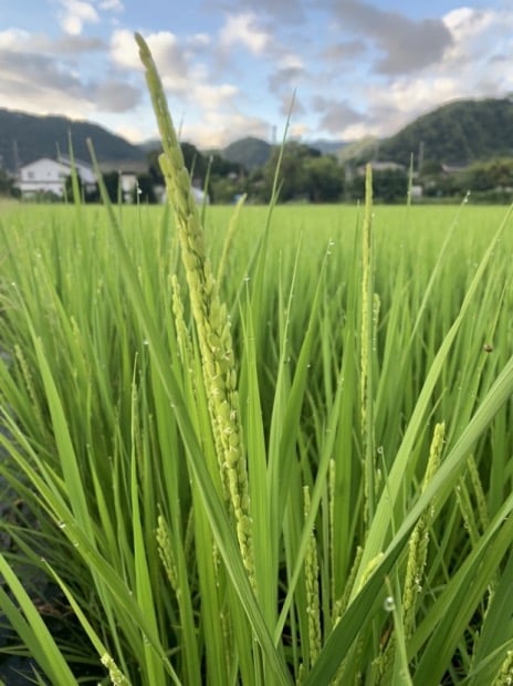 20210825iijima05