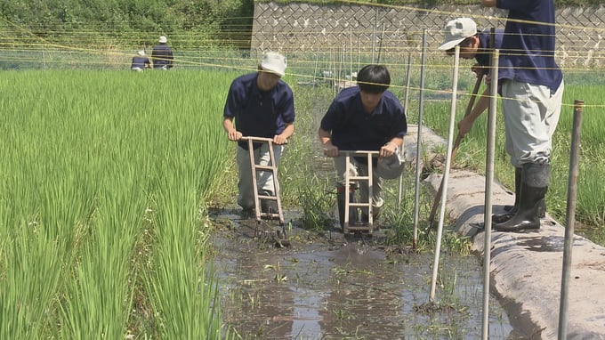 田車を使った人力除草