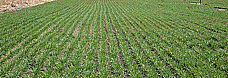 110406_smallcover_fix.jpg