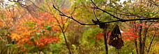 20111102cover_small.jpg