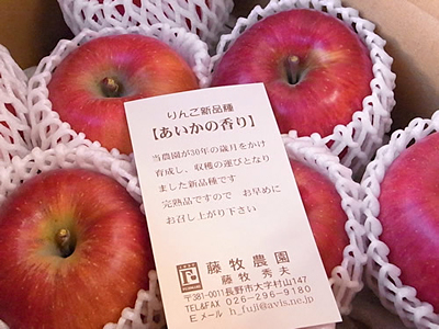 今おすすめのリンゴはこれ あいかの香り 農畜産物 長野県のおいしい食べ方
