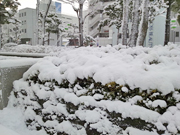 20130116reki01.jpg