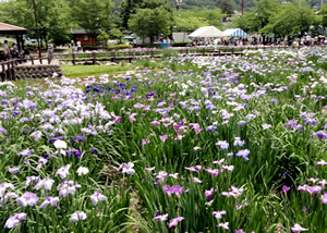 20130626reki02.jpg