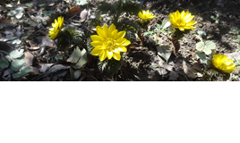 20140402koyomi.jpg