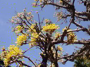 20140402reki01.jpg