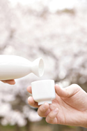20140402reki05.jpg