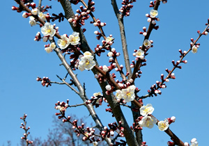 20140409reki04.jpg
