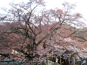20140423reki04.jpg