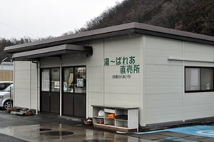 20170118wakaho07.jpg