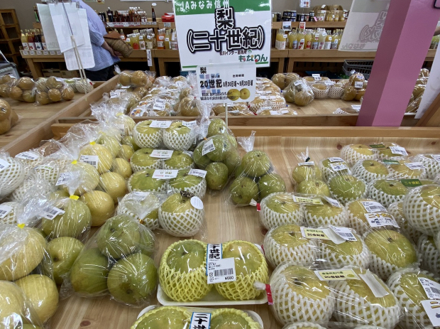 もも、梨、りんごを買うなら「もなりん」（松川町）へ！｜長野県の
