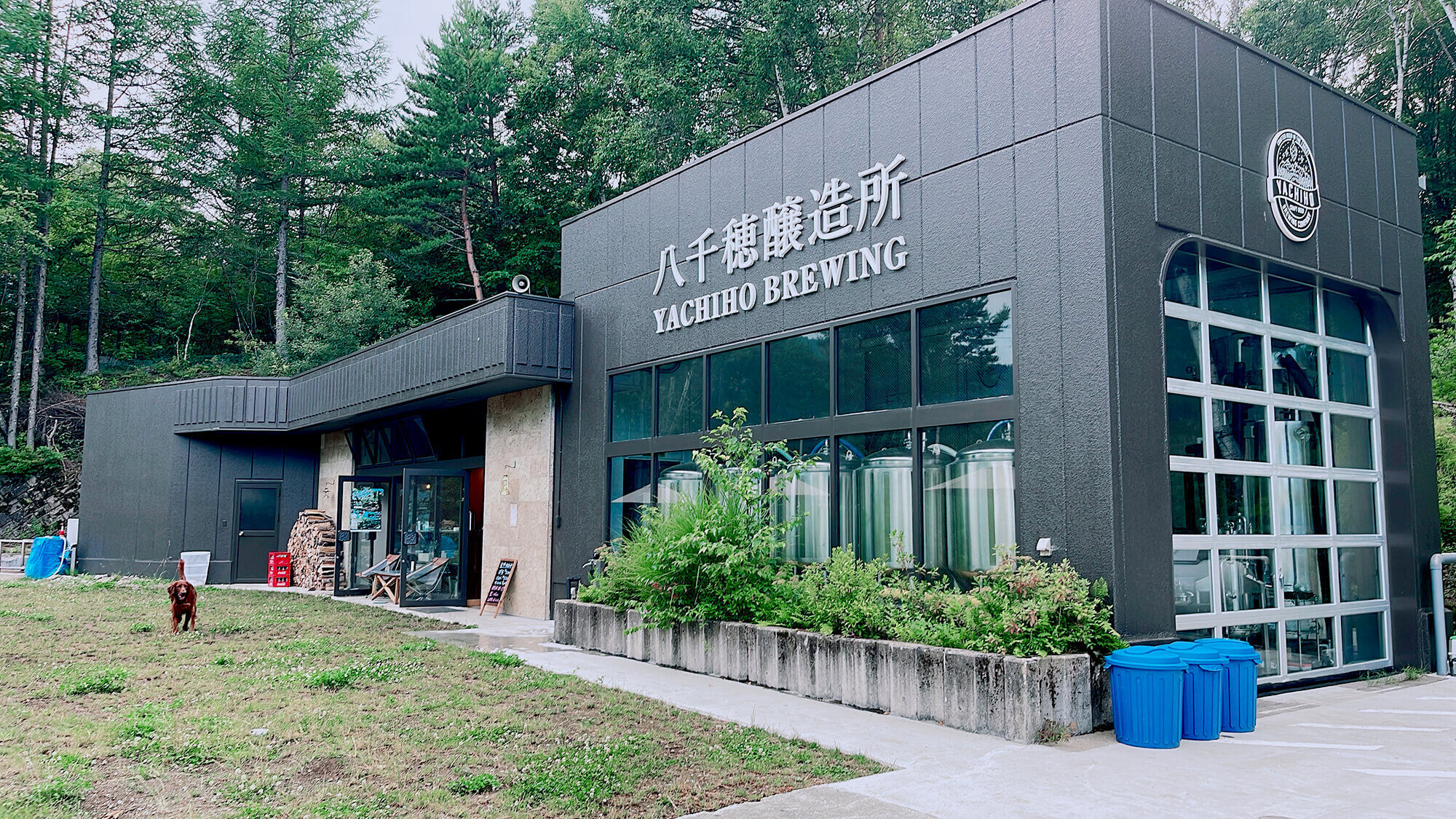 北八ヶ岳の森でつくられる軽やかなビール