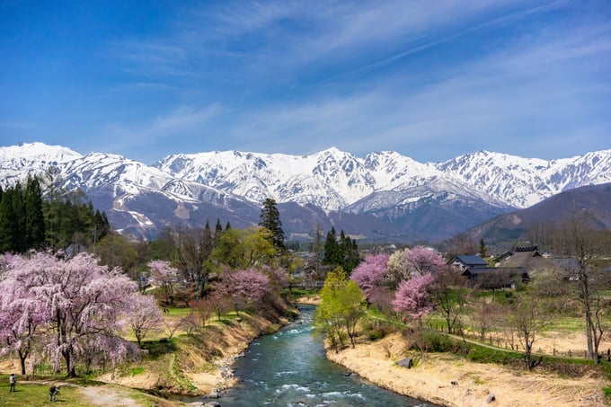 AdobeStock_307367753