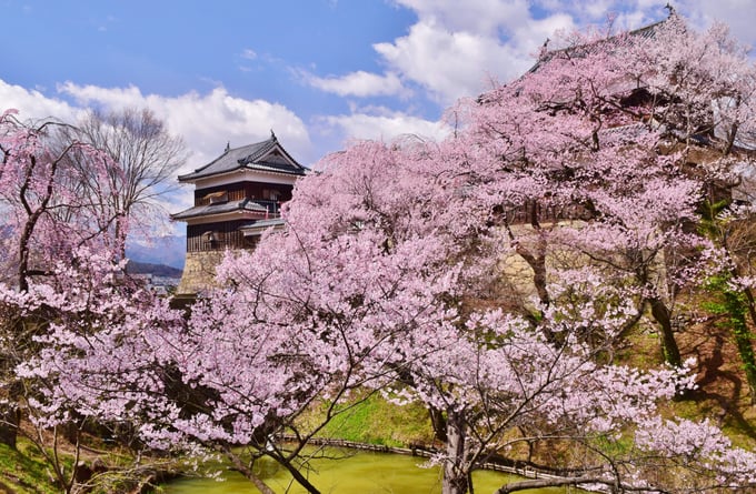 AdobeStock_318938741