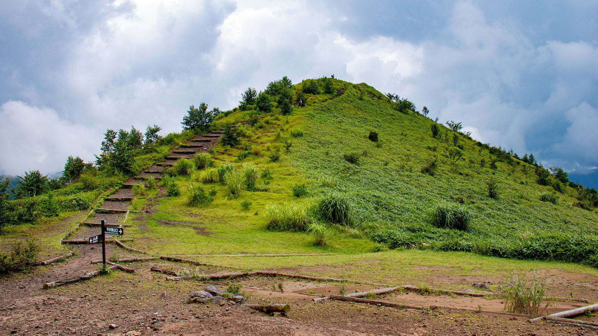 tiiki_202503_nobeyama02