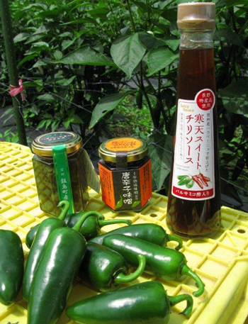 ピリ辛の青い唐辛子「ハラペーニョ」｜農畜産物｜長野県のおいしい食べ方