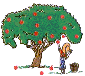 apple_tree