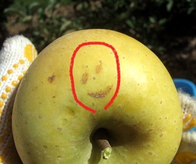 applesmile.jpg