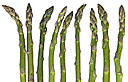 asparagus.gif