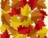autumnleaves.jpg