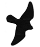 bird_silhouette.png