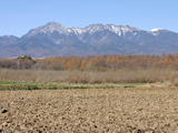 冠雪の八ヶ岳