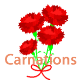 carnations.gif