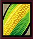 corn.jpg