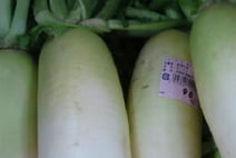 daikon.jpg