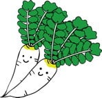 daikon.jpg