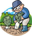 daikon.jpg
