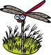 dragonfly.jpg