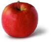 fuji_apple_small.jpg