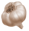 garlic.png