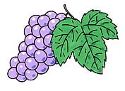 grape.jpg