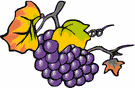 grape13.gif