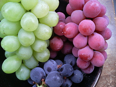 grapes_autumn.jpg