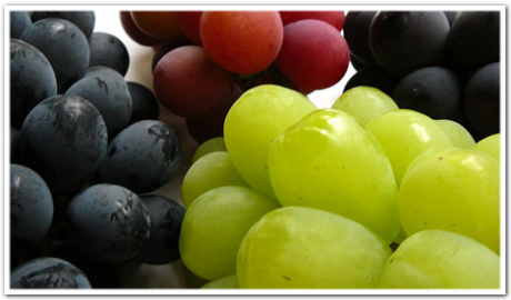 grapes_top.jpg