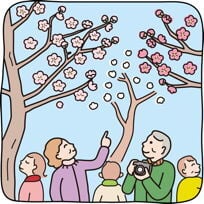 hanami.jpg