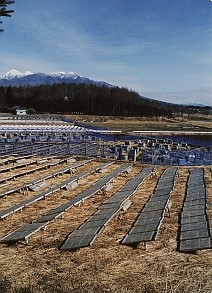 八ヶ岳山麓の寒天の干し場