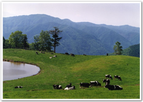 kitagawa_ranch_ohshika_village.jpg