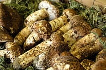 matsutake.jpg