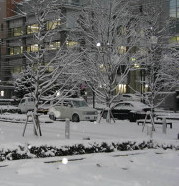 naganocity_snowing.jpg