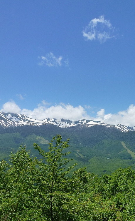 乗鞍に行く。思うこと多い今年の夏は乗鞍へ｜長野県のおいしい食べ方
