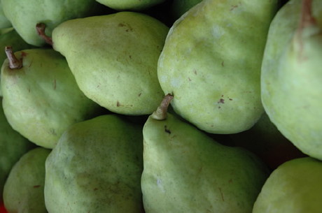 pears_5.jpg