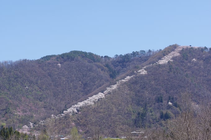 tiiki-202503-azumino