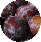 plums.jpg