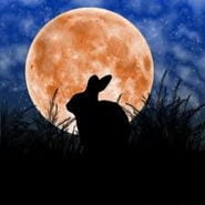 rabbitmoon.jpg