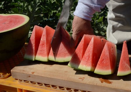 JA松本ハイランドスイカ」は、なぜこんなにおいしいの｜農畜産物｜長野