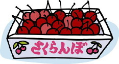 sakuranbo.jpg