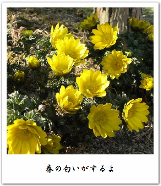 scent_of_spring_1.jpg